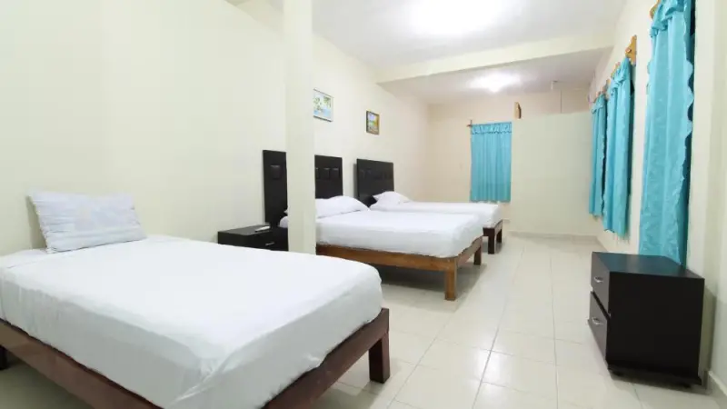 Basic Triple Room