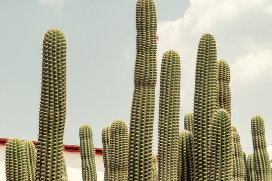 Tour image 14